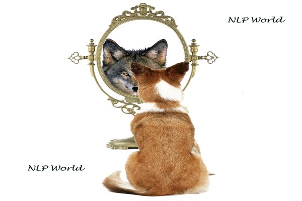 NLP World | South Africa